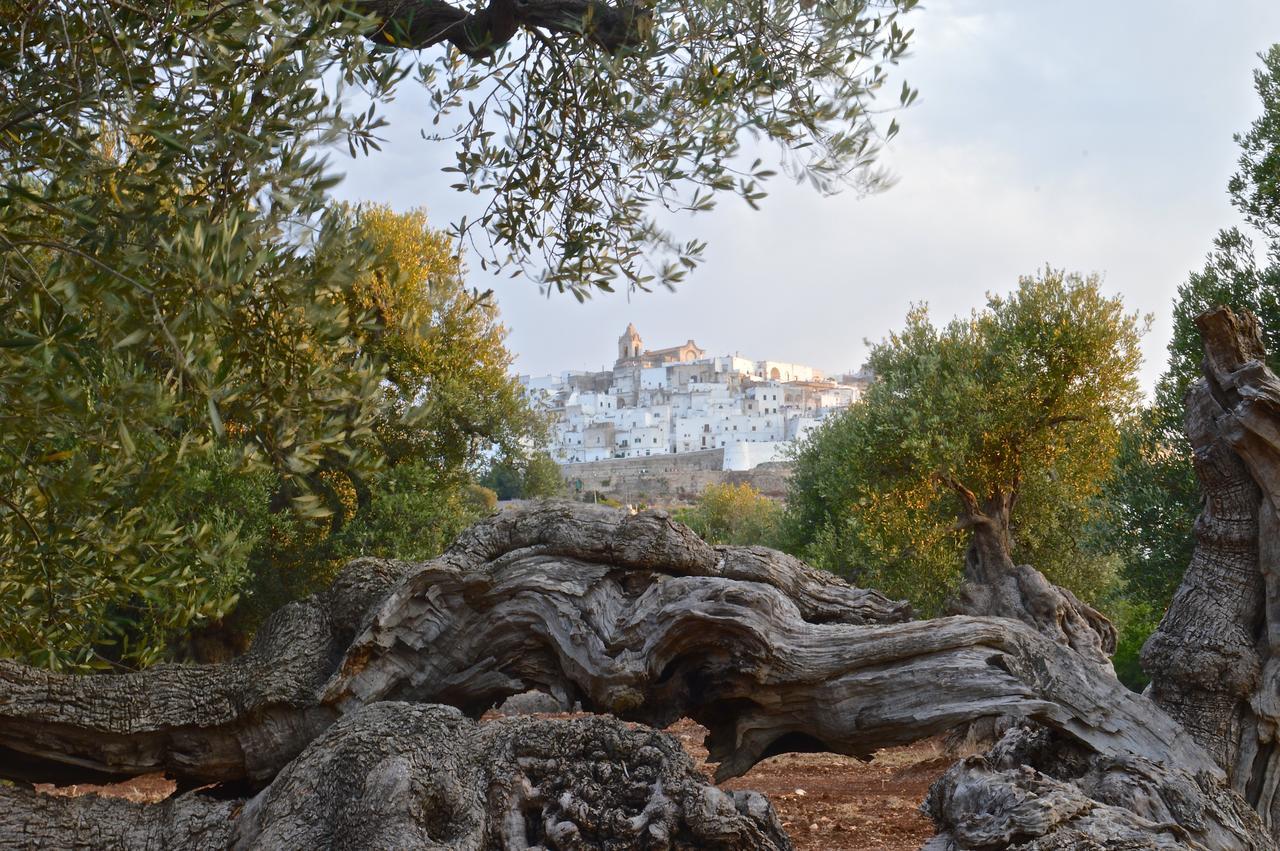 Casa Campari Apartman Ostuni Kültér fotó